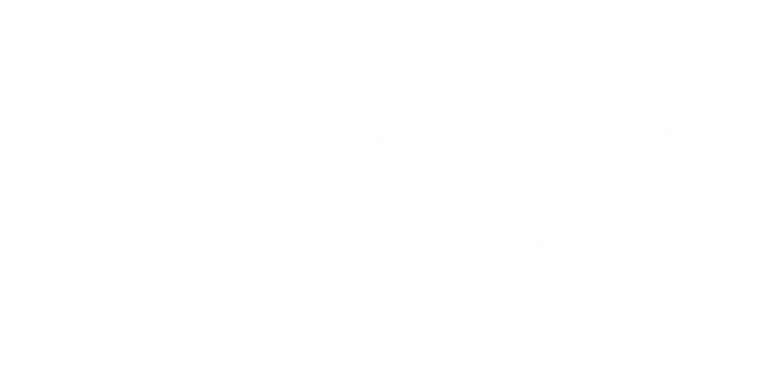 Youparrot